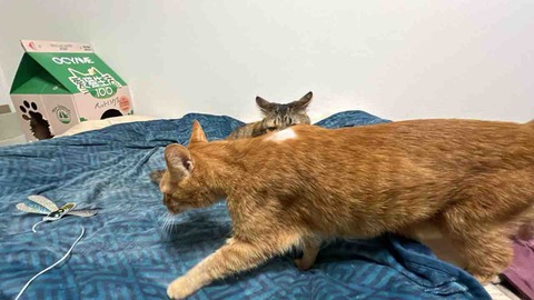FullSizeRender