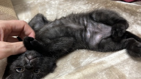 写真 2023-11-17 3 05 11