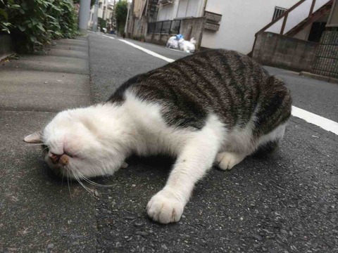 DF71B393-1CCE-446E-98F4-5B1A1BA31726