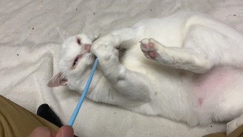 写真 2019-11-03 23 21 17