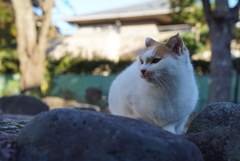 DSC00750