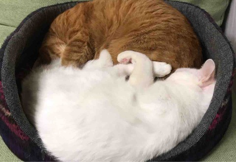 D797503B-B551-43EB-A1CE-5C28194F522D