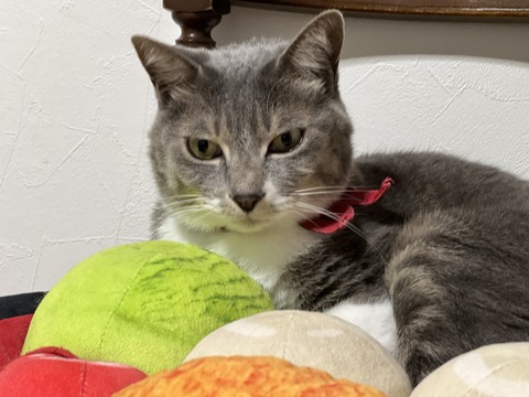 写真 2024-01-01 2 19 02