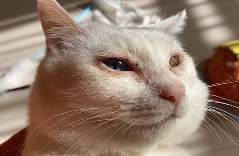 写真 2020-02-22 21 12 54