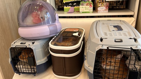 写真 2021-12-15 9 00 13