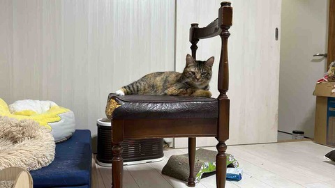 FullSizeRender