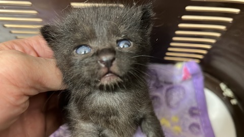 写真 2023-10-12 9 10 05