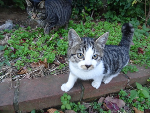 DSC03558