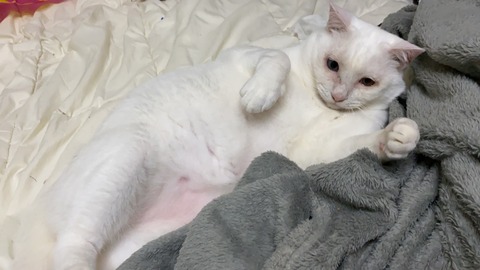 写真 2019-10-01 23 01 33