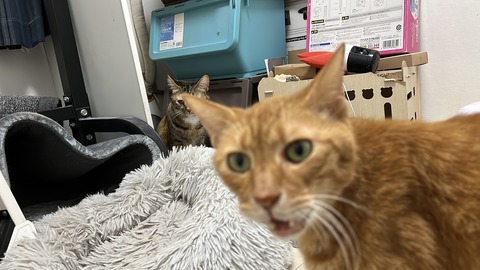 写真 2025-10-07 3 26 18