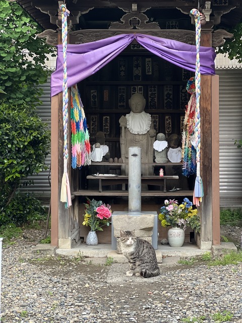 写真 2024-04-29 5 43 54