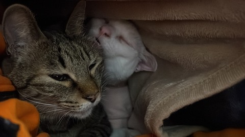 写真 2023-01-05 23 47 56