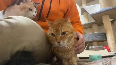 写真 2020-12-04 23 45 01