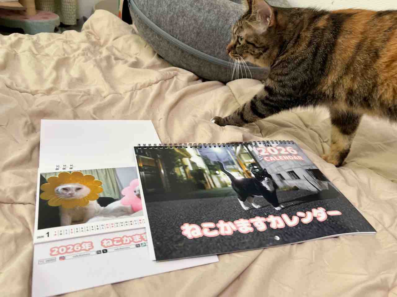 2026年のカレンダー等 20250922 : ねこかます