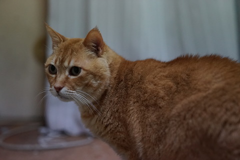 Photo 2019-03-27 23 26 06