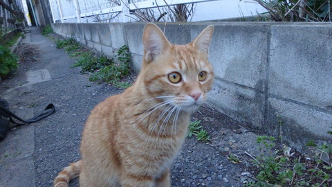 DSC05470