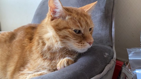 写真 2021-06-06 10 33 06