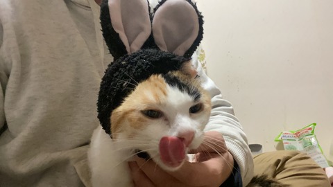 写真 2019-12-19 21 11 36