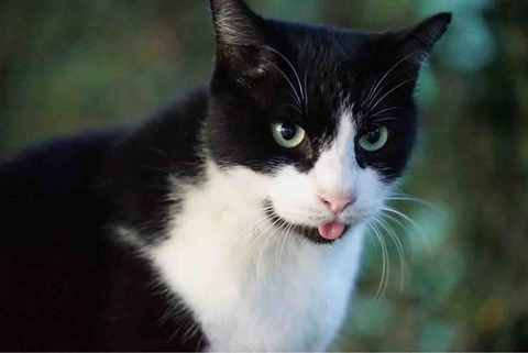 82D6395A-079D-4BCD-95F0-4C5D2B9322A2