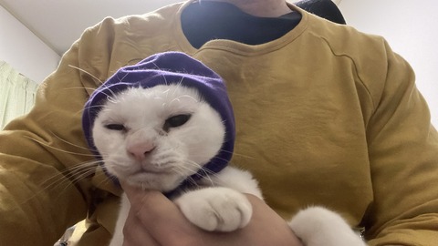 写真 2025-07-04 21 43 47