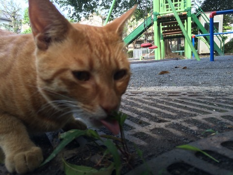 2014-07-26 08.17.02 HDR