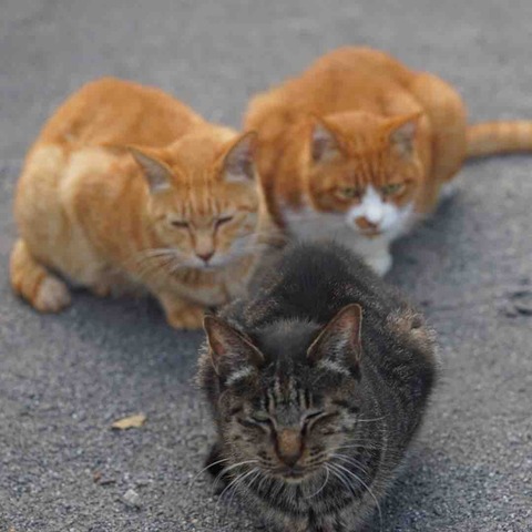 DD60FB77-D147-498B-8FE4-32EC82250B31