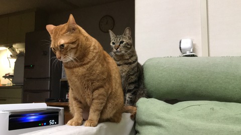 写真 2017-12-26 1 02 43