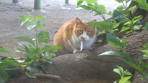 DSC09903