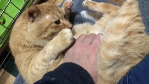 写真 2019-01-01 23 16 54