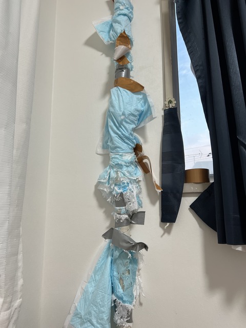 写真 2022-08-03 4 53 49