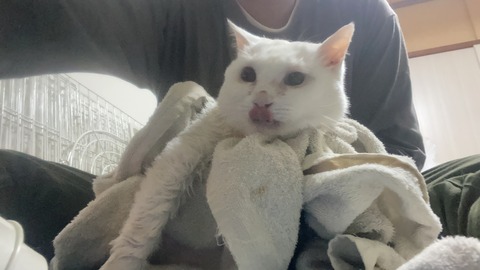 写真 2021-05-20 1 39 43