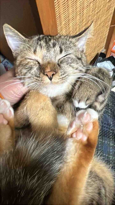 FullSizeRender