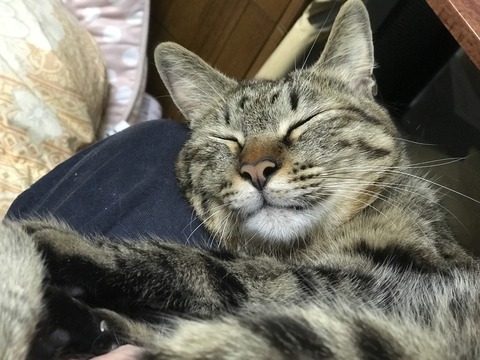 写真 2018-01-12 0 29 12