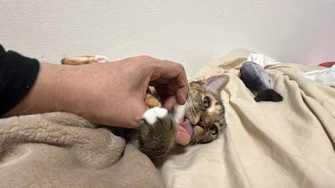 写真 2024-09-09 22 34 21