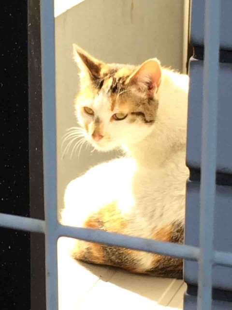 9834624A-3E85-4467-92F9-AA15A8A6EB46