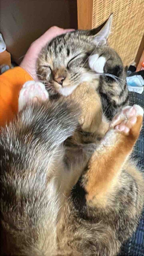 FullSizeRender