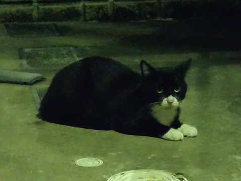 DSC00901