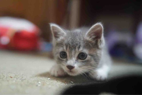 7E5D8247-1B2A-4CA1-A650-06E405B149AA