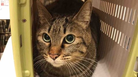 346F6CE3-3F3D-414B-AC6E-A381CDB345F5