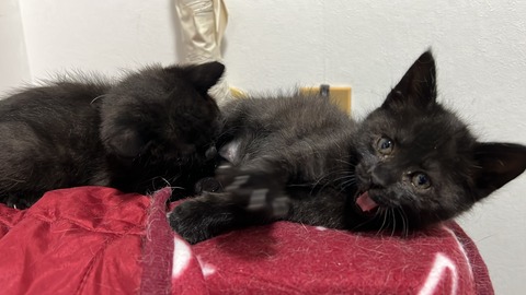 写真 2023-11-16 4 01 18