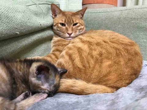 039DFB3E-C19C-459F-91D4-7BEF065DF58C