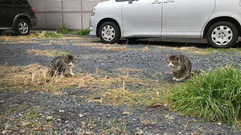 写真 2019-02-11 13 49 18