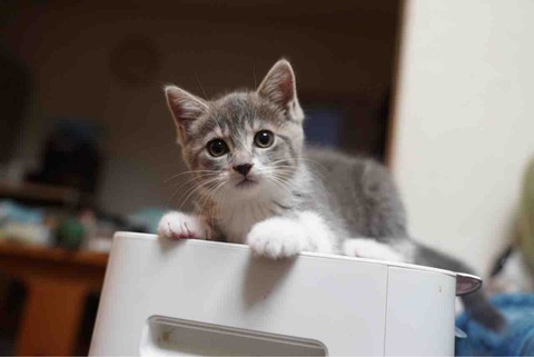 C8065803-E735-45D1-B408-546ED4371104