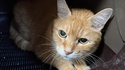 写真 2024-10-09 7 36 48