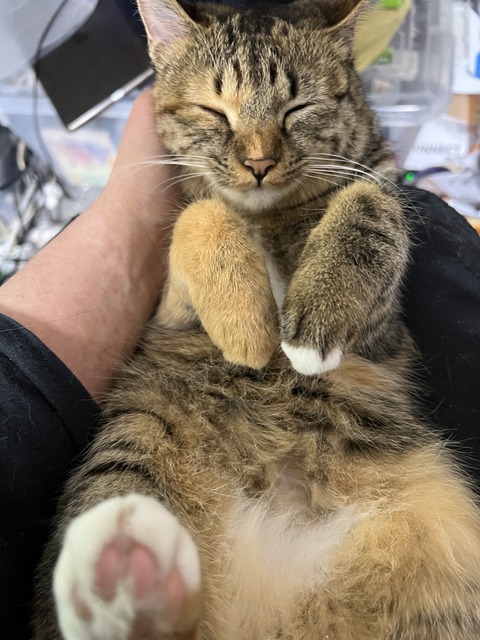 写真 2025-02-08 3 17 06