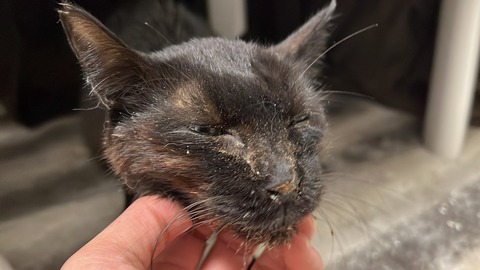 写真 2023-12-05 19 28 54