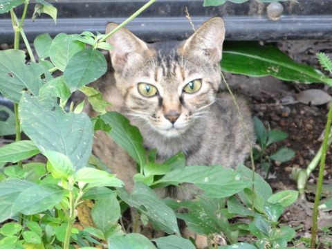 DSC00616