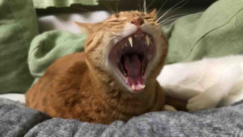 E40B426D-BC89-4555-850E-68FF881B22A7