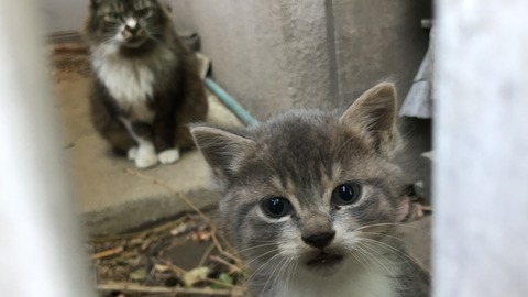 写真 2019-05-25 8 16 03