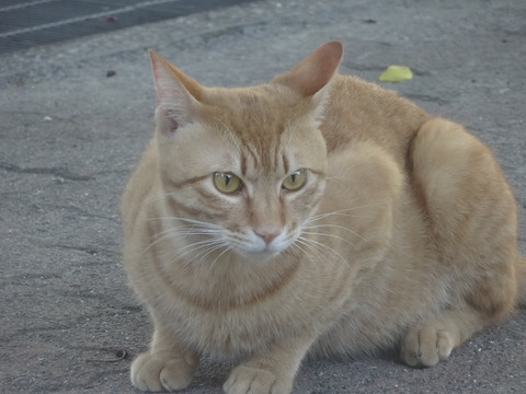 DSC09898